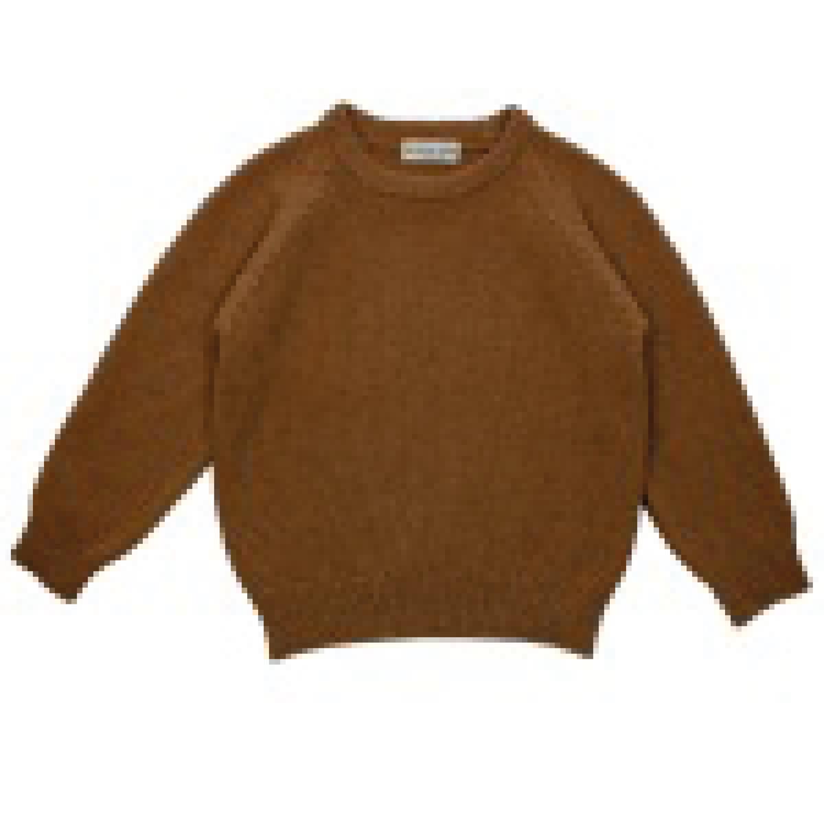 Maglione Ant
